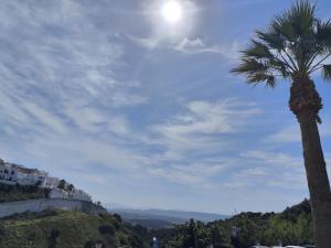 a palm tree sitting on top of a hill at Casa Soledad in Vejer de la Frontera