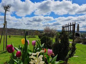 un jardin fleuri dans un champ avec une clôture dans l'établissement Glamping NA BREJGI, à Filovci