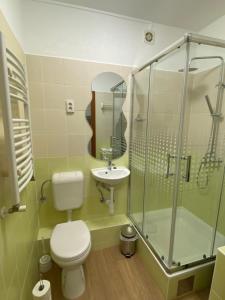 a bathroom with a toilet and a shower and a sink at Héli apartman in Hajdúszoboszló