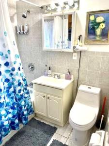 een badkamer met een toilet, een wastafel en een douche bij 3 bedrooms 2 stops to Manhattan in Long Island City
