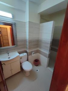 La salle de bains est pourvue de toilettes, d'un lavabo et d'une douche. dans l'établissement Pensiunea Paradis Baile Herculane, à Băile Herculane