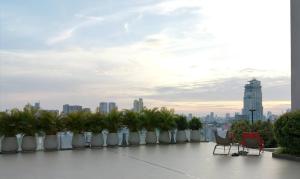 a row of chairs and palm trees on the roof of a building at City View Studio in Phnom Penh
