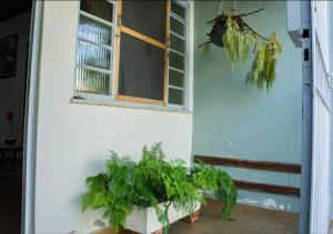 un edificio con una ventana y dos plantas al lado en Canto do Sossego, en Pindamonhangaba