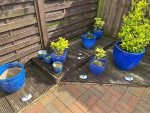 a group of blue potted plants sitting on a patio at Heather's Lodge in Cheshunt