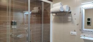 a bathroom with a shower with a glass door at "EL JUNCAL" APARTAMENTO TURISTICO Parking gratuito in Cabra +64 photos