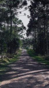 a dirt road with trees on either side of it at CURTA! | Casa dos Pássaros - Campo Alegre in Campo Alegre