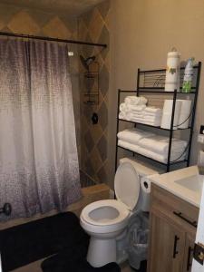 een badkamer met een toilet, een douche en een wastafel bij 3BR 2 And A Half BA Cozy Quiet Home Away From Home in Port Arthur
