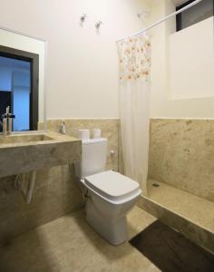 ein Bad mit einem WC, einem Waschbecken und einer Dusche in der Unterkunft Pousada Sol Pato Branco in Pato Branco