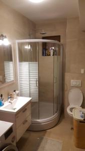 een badkamer met een douche, een toilet en een wastafel bij Holiday Apartment in Budva