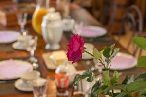eine rosa Rose in einer Vase auf einem Tisch in der Unterkunft Les Trois Faisans in Bligny-sur-Ouche