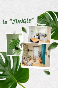 eine Collage mit Fotos von einem Wohnzimmer und einem Haus in der Unterkunft Appartements à thème in Clermont-Ferrand