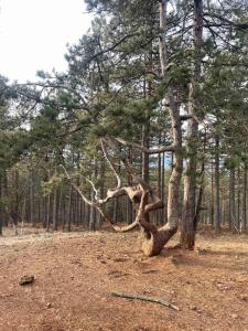 Paesaggio naturale nelle vicinanze dell'appartamento