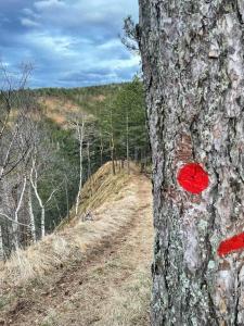 Paesaggio naturale nelle vicinanze dell'appartamento