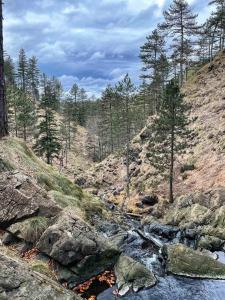 Paesaggio naturale nelle vicinanze dell'appartamento