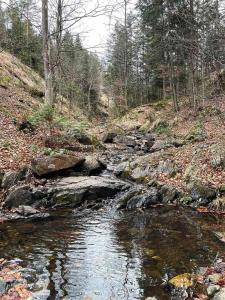 Paesaggio naturale nelle vicinanze dell'appartamento