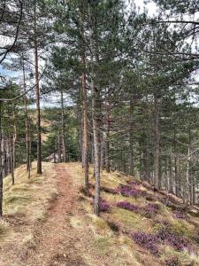 Paesaggio naturale nelle vicinanze dell'appartamento