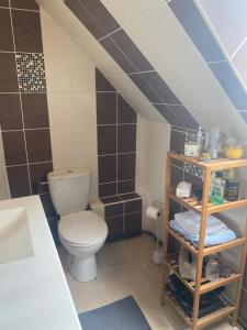La salle de bains est pourvue de toilettes et d'un lavabo. dans l'établissement Domaine de la coqueraine, à Ouistreham
