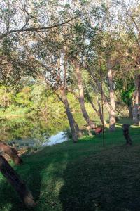 Φωτογραφία από το άλμπουμ του Vaalwater Rivieroord σε Vaalwater