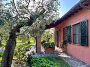 Κήπος έξω από το Agriturismo Valdo