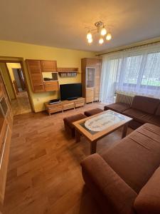 a living room with a couch and a coffee table at Rekreační dům Pod Břízou in Rudník