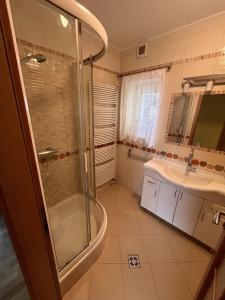 a bathroom with a shower and a sink at Rekreační dům Pod Břízou in Rudník