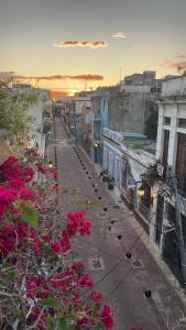 a view of a city street with pink flowers at Centrico ciudad colonial in Santo Domingo