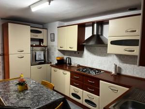Kuchyň nebo kuchyňský kout v ubytování Casa vacanze Le Galline