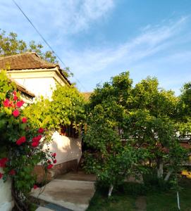 ein Haus mit Blumen und Bäumen im Hof in der Unterkunft Bistrički mir 1 in Opština Petrovac na Mlavi
