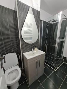 ein Bad mit einem WC, einem Waschbecken und einer Dusche in der Unterkunft Romanescu One Apartament in Craiova