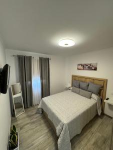 a bedroom with a large bed and a television at Brisa del mar in Tarajalejo
