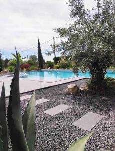 Castillon-SavèsにあるVilla avec piscineのスイミングプールと植物のあるリゾート