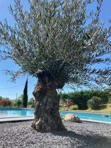 Castillon-SavèsにあるVilla avec piscineのプールの前のオリーブの木の像 +8枚の写真