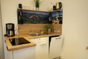 a small kitchen with a sink and a refrigerator at Westerwald Apartment DRIE600 in Driedorf