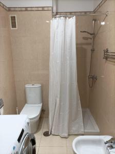 バハマルにあるApartamento Bajamar Tenerifeのバスルーム(シャワー、トイレ、洗面台付)