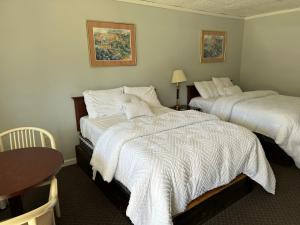 AlfredにあるEconomy Innのベッド2台とテーブルが備わるホテルルームです。