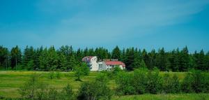 a house in the middle of a field with trees at Hotel Tsiskari in Ianet'i
