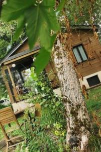 a house with a tree in front of it at Chaleureux Chalet Lac Roussinas in Anglès +17 photos