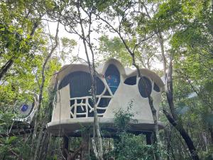 Ikalar في أكومال: منزل شجرة في وسط الغابة