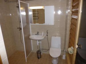 ein Bad mit einem WC und einem Waschbecken in der Unterkunft Cottages SAA in Punkaharju