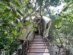 a stairway leading to a tree house in the forest at Ikalar in Akumal