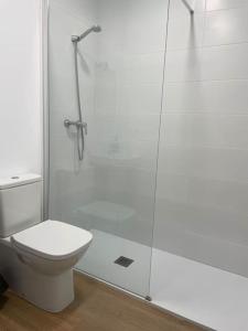 y baño con aseo y ducha acristalada. en Nidito Sandua en Pamplona