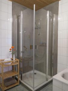 ホーエガイスにあるFerienhaus-Sonne-Harz-Sterneのバスルーム(ガラスドア付きのシャワー付)