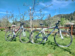 zwei Fahrräder, die nebeneinander im Gras geparkt sind in der Unterkunft Chalet Woody in Stara Sušica