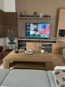 TV a/nebo společenská místnost v ubytování Haus mit Sauna am Waldrand - Nähe Brombachsee Altmühlsee