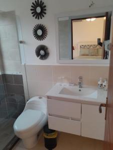 een badkamer met een toilet, een wastafel en een spiegel bij Se alquila apartamento amueblado en el centro de la ciudad in La Romana