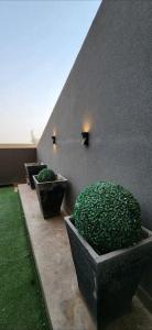 Photo de la galerie de l'établissement Enchanted Terrace,1 BR Penthouse, DHA Phase 4, à Lahore