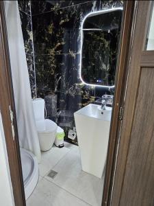a bathroom with a toilet and a sink at Garsoniera Craiova Centru Vechi in Craiova