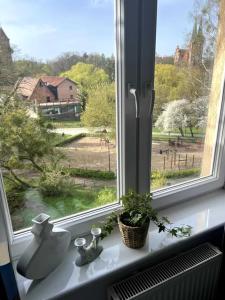 a window sill with a sink and a plant in it at Apartament przy Browarze in Olsztyn