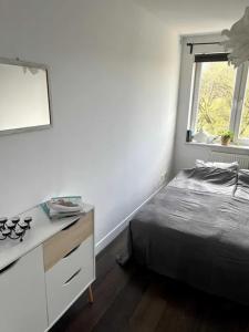 a bedroom with a bed and a dresser and a window at Apartament przy Browarze in Olsztyn