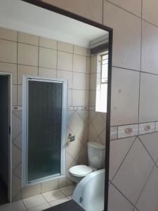 uma casa de banho com um WC e uma cabina de duche em vidro. em Sapphire Hotel Halevy Heritage em Bloemfontein